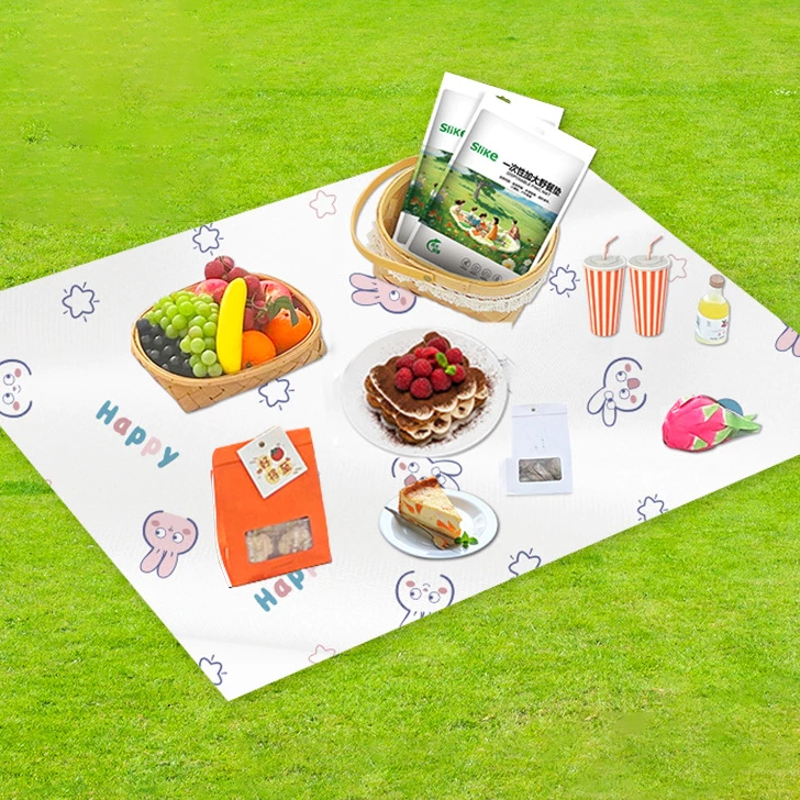 Tôi đã bao giờ bị lỗi chọn thảm picnic không chống thấm, và đây là bài học tôi rút ra