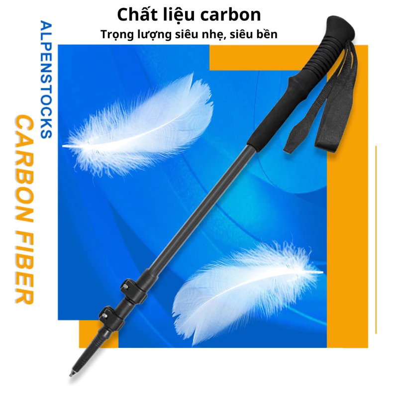 Cách Chọn Gậy Leo Núi Phù Hợp: Lỗi Mù Lòa Của Người Mới Bắt Đầu