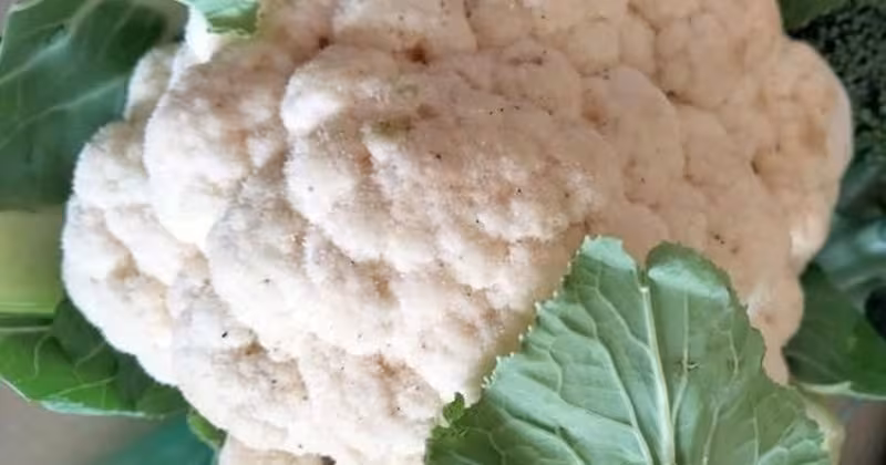 Bí quyết bổ thận mùa đông: lợi ích bất ngờ của súp lơ