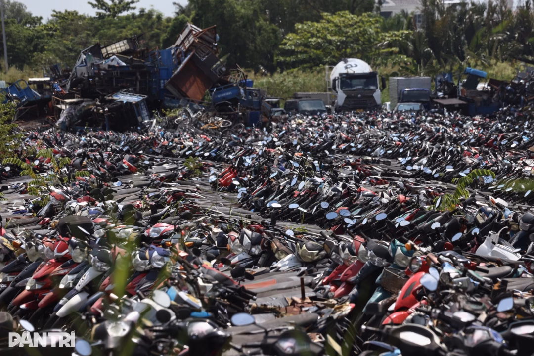 Hơn 24.000 xe m&aacute;y vi phạm tại TP.HCM đang chờ b&aacute;n đấu gi&aacute;