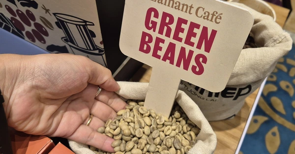 Giá cà phê hôm nay 12/1: Bảng xếp hạng “ông lớn” xuất khẩu Việt Nam