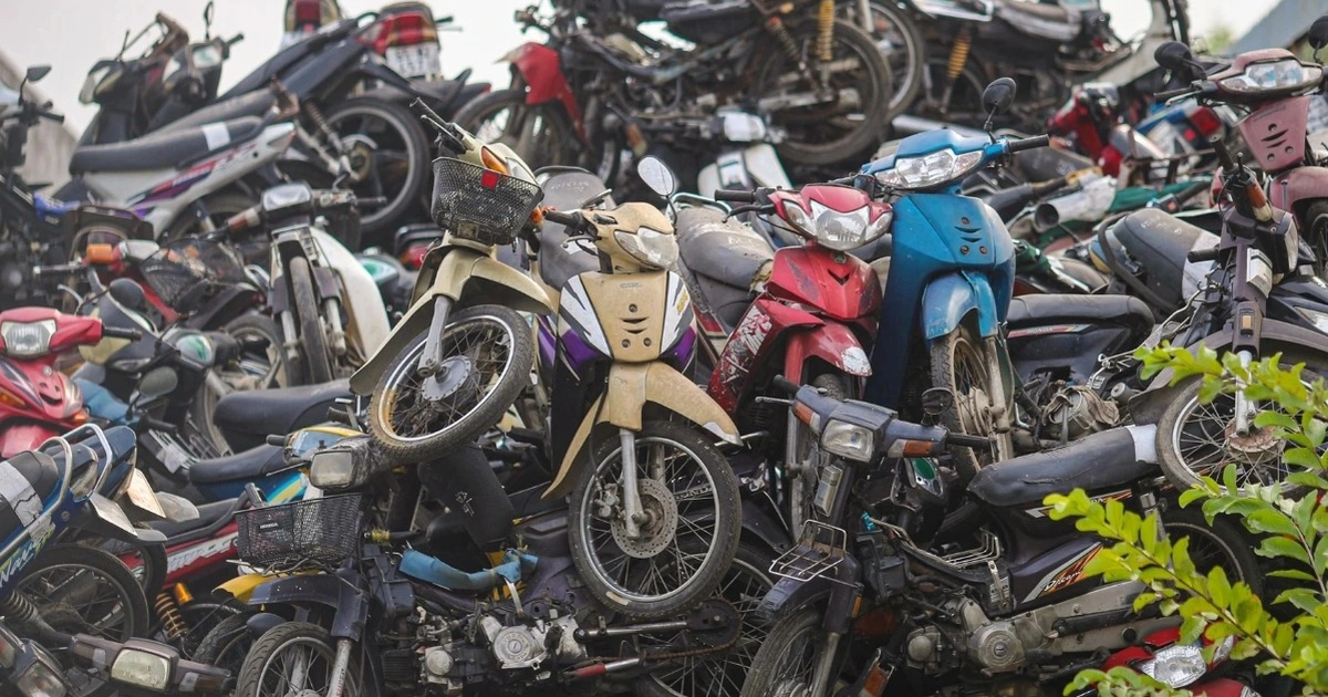 Hơn 24.000 xe vi phạm TP.HCM bán đấu giá, thu hơn 14 tỷ đồng