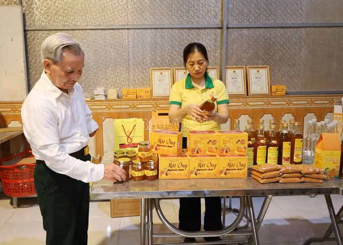Sản phẩm mật ong đa dạng của C&ocirc;ng ty TNHH Ph&aacute;t triển ong miền n&uacute;i Thanh Xu&acirc;n