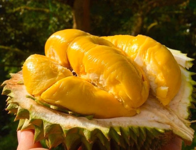 Muốn da đẹp luôn ẩm mịn, trắng sáng vào mùa hè? Ăn ngay 5 loại trái cây &quot;thần kỳ&quot; này! - Ảnh 2.