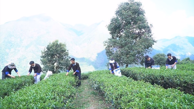 Lai Châu: Phát huy tiềm năng, xây dựng nếp sống mới ở xã Mường Kim