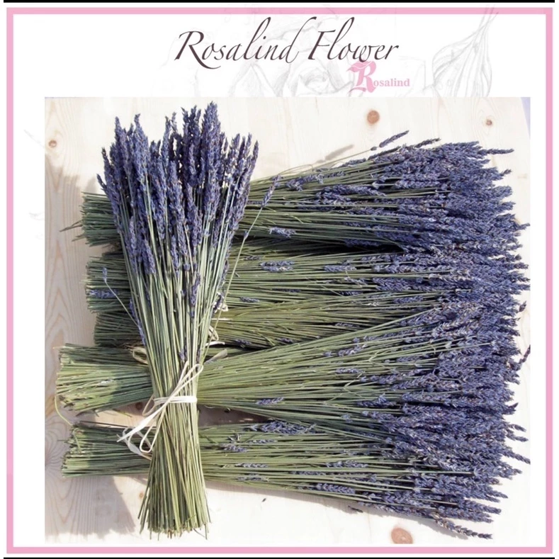 Làm thế nào để hoa lavender khô không bị bạc màu và mất mùi thơm sau một thời gian trang trí?