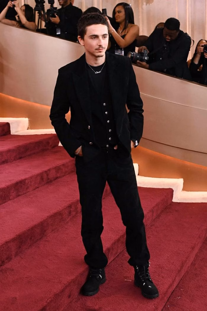 Timoth&eacute;e Chalamet pirate suit