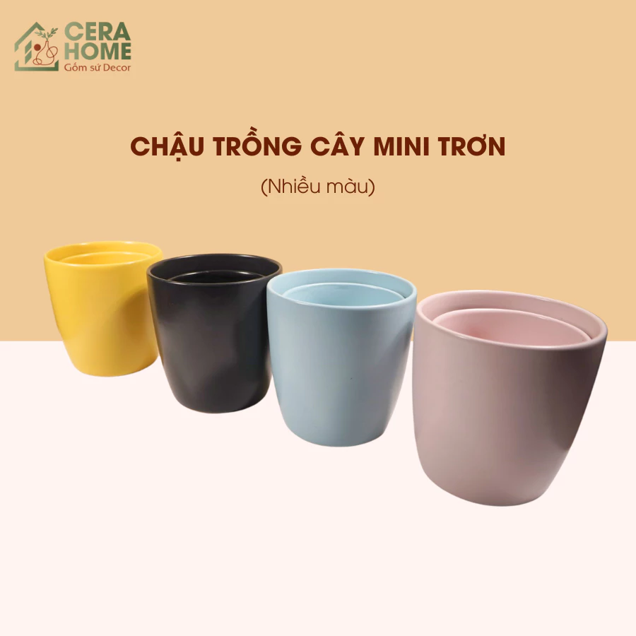 Làm thế nào để chọn chậu cây gốm sứ phù hợp với không gian nhỏ?