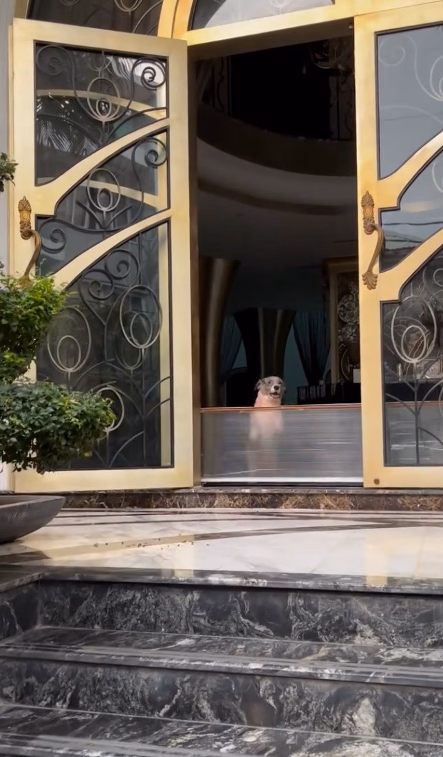 Cuộc sống giàu sang Cuộc sống giàu sang của Nam Vlog