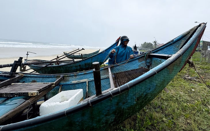 Cây rừng đổ đè lên ô tô ở đèo Bảo Lộc, Lâm Đồng Cây ngã chắn ngang đèo Bảo Lộc, ô tô bị đè trúng - Ảnh 2.