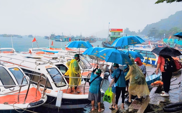 Cây rừng đổ đè lên ô tô ở đèo Bảo Lộc, Lâm Đồng Cây ngã chắn ngang đèo Bảo Lộc, ô tô bị đè trúng - Ảnh 4.