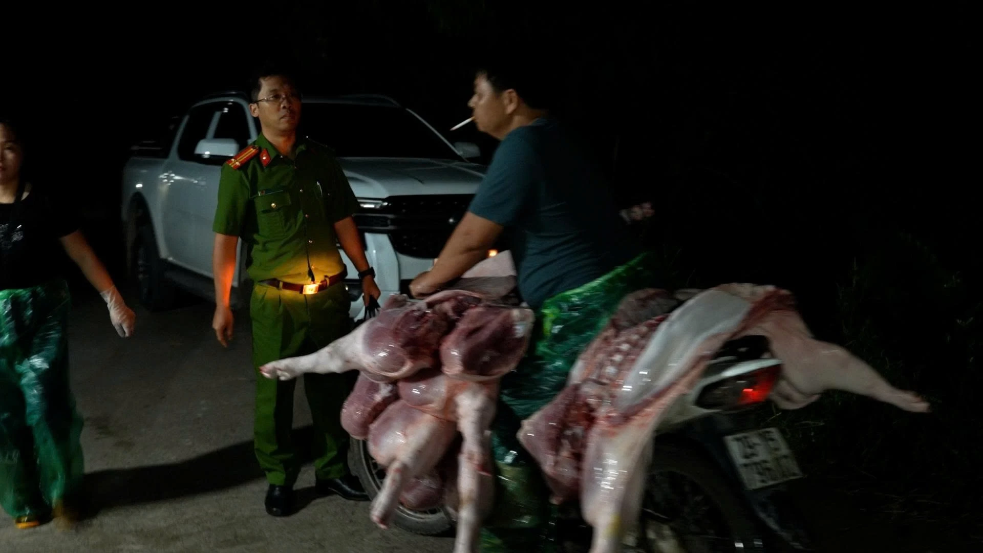 dịch tả châu Phi ảnh 2