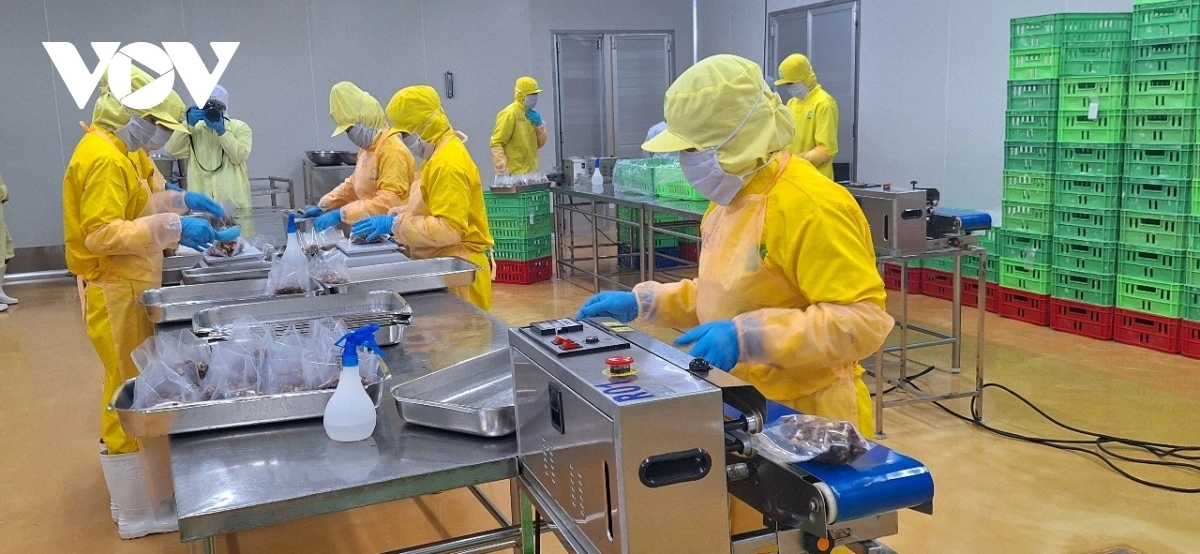 Dự báo kinh tế 6 tháng cuối năm 2023: Những con số và xu hướng đáng chú ý Chi phí sản xuất tăng sẽ ảnh hưởng đến sức cạnh tranh thị trường xuất khẩu