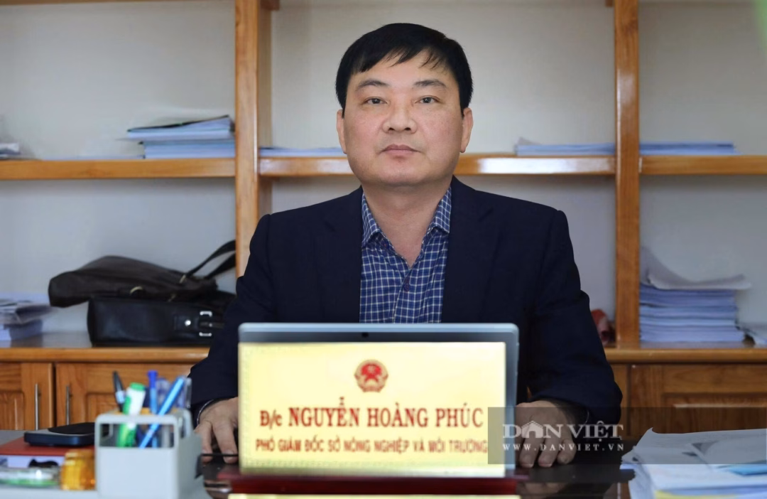 Lâm Đồng triển khai giải pháp giảm nghèo bền vững ở vùng nông thôn và dân tộc thiểu số Phóng viên Dân Việt trao đổi với ông Nguyễn Hoàng Phúc về chương trình mục tiêu quốc gia giảm nghèo bền vững tại Lâm Đồng.