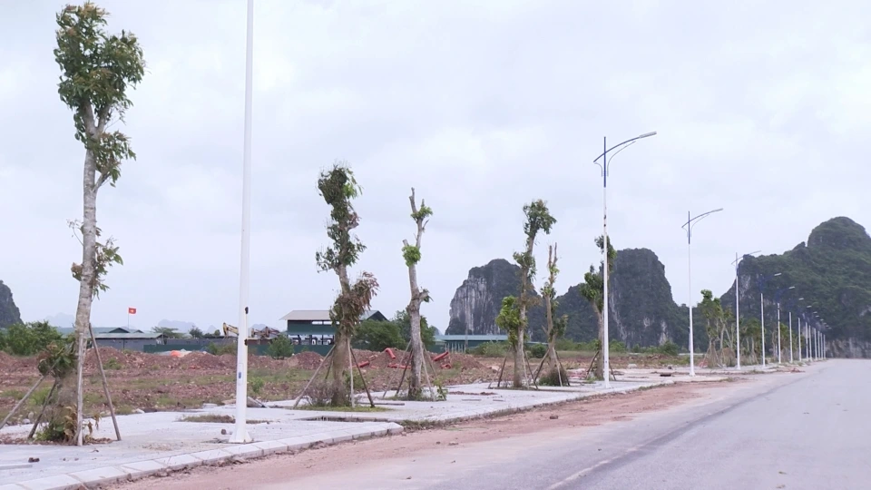 NHNN: MB Điện Biên cần khắc phục tồn tại về quản trị và kiểm soát nội bộ