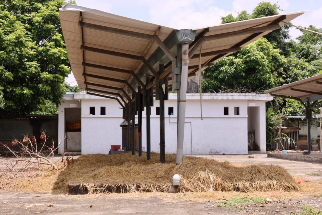 Hai chợ nghìn tỷ đồng ở Hà Nội bỏ hoang, mọc dại như rừng