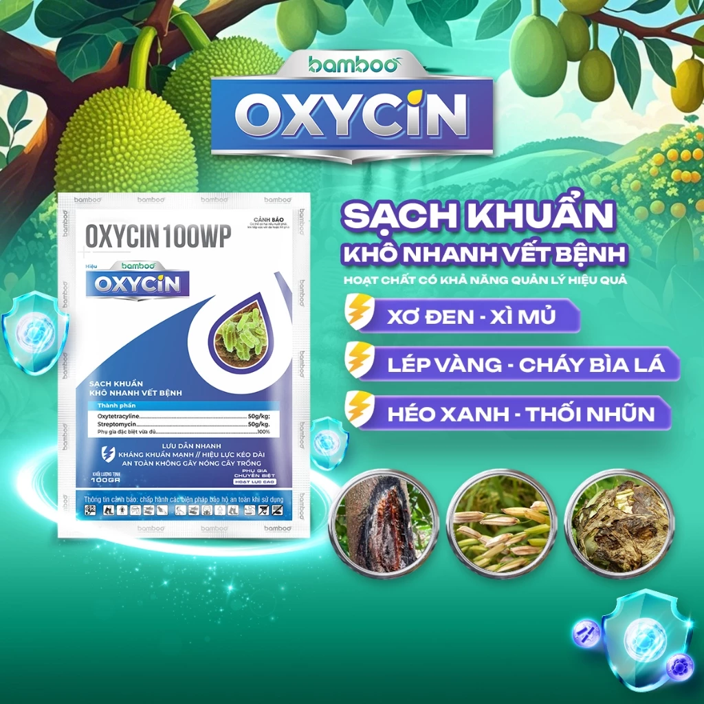 Làm thế nào để trị sơ đen, nứt thân xì mủ trên cây mít mà không cần sử dụng hóa chất độc hại?