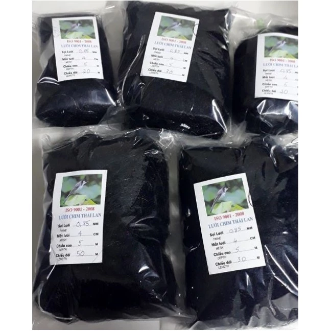 Làm thế nào để bẫy chim cu gáy hiệu quả với lưới bẫy dài 40-60 mét mà không làm tổn thương chúng?