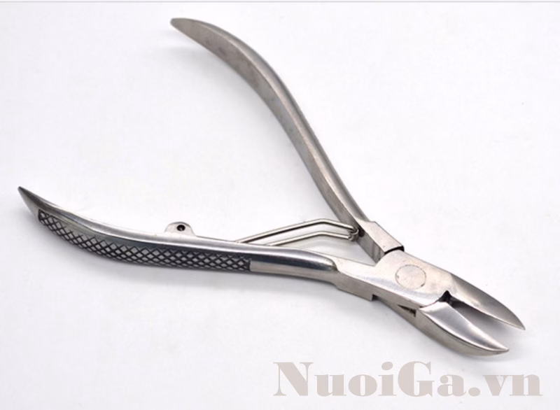 Làm sao để cắt nanh heo con an toàn và dễ dàng với kìm bấm nanh heo con bằng thép không gỉ?