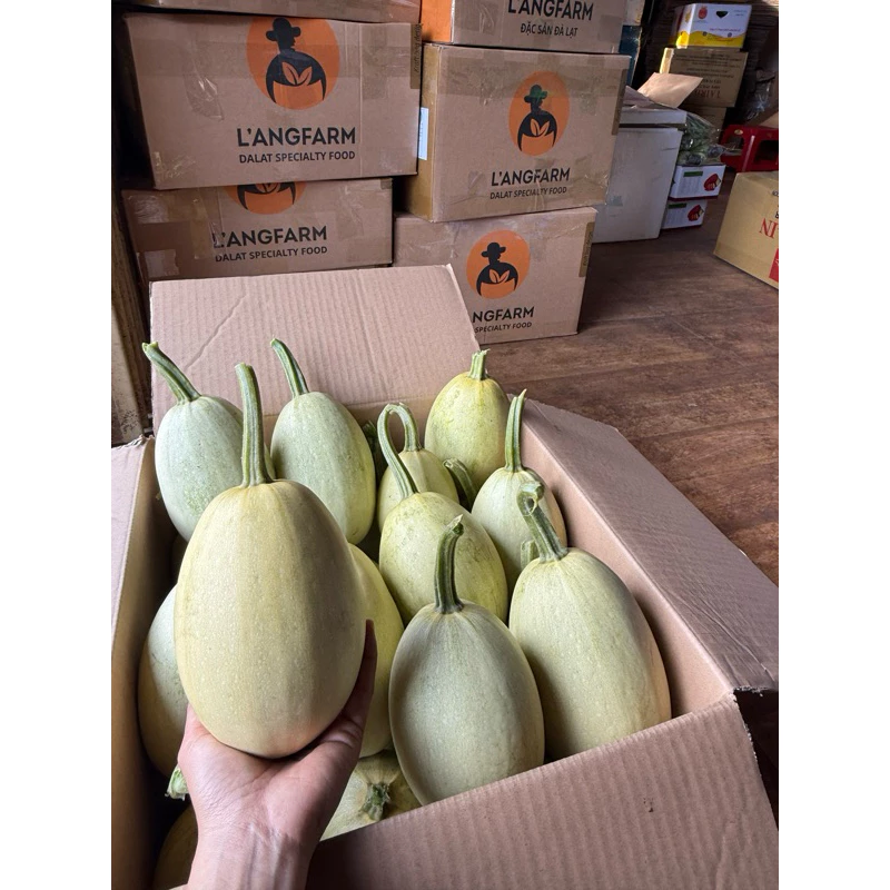 Mua quả bí sợi mì về mà vẫn băn khoăn: Ăn có thật sự tốt cho sức khỏe không?