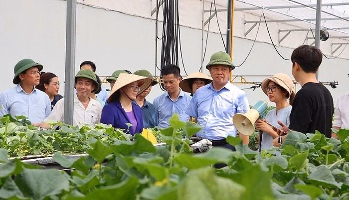 Hành động ngay hôm nay Lãnh đạo tham quan mô hình nông nghiệp công nghệ cao