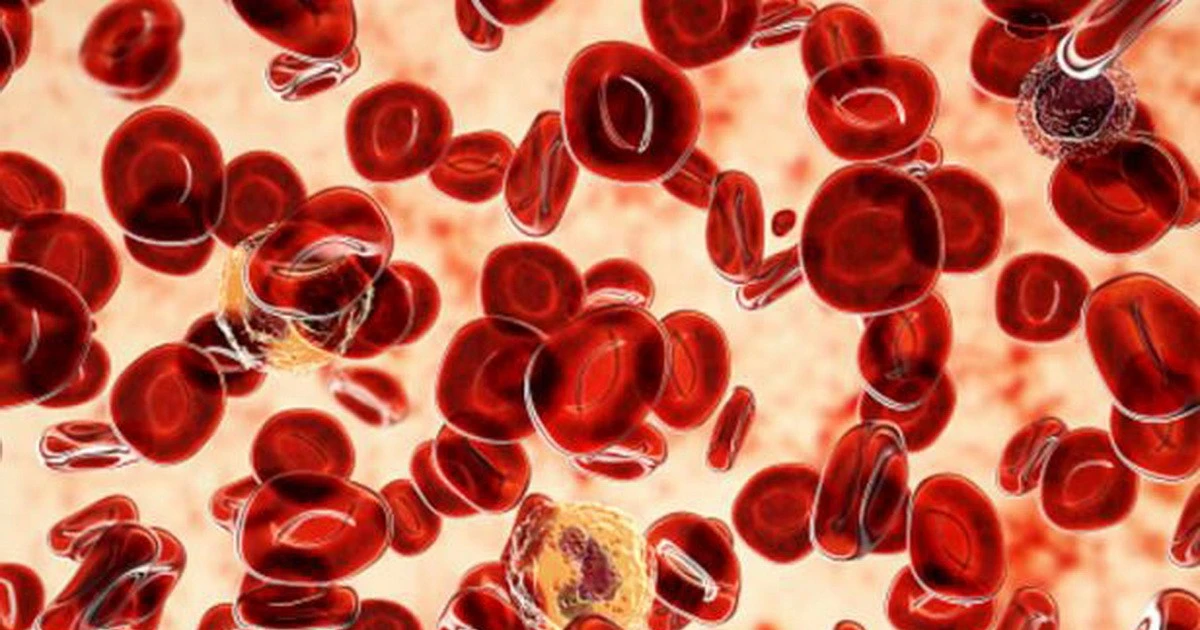 Biến thể gene rs17834140-T: chìa khóa mới phòng ngừa ung thư máu