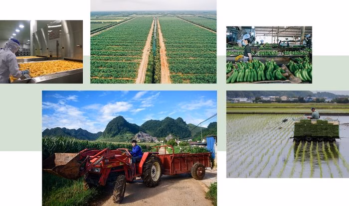 Hành động ngay hôm nay Buổi sáng tại xã vùng ven