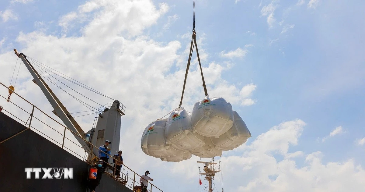 Cơ hội xuất khẩu gạo Việt Nam sang Israel: Thị trường tiềm năng và chiến lược thành công