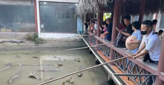 Du lịch sinh thái miền Tây: Kỳ nghỉ Tết Dương lịch 2026