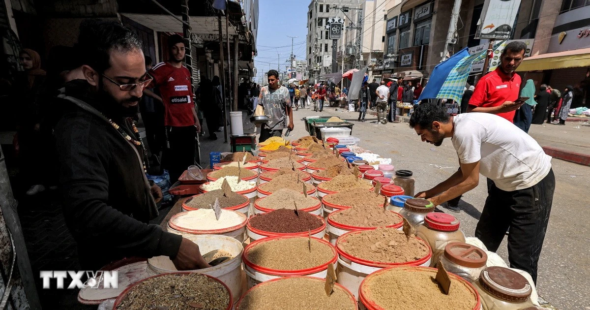 Giá thực phẩm tăng vọt ở Israel: Hậu quả và giải pháp giảm chi phí sinh hoạt