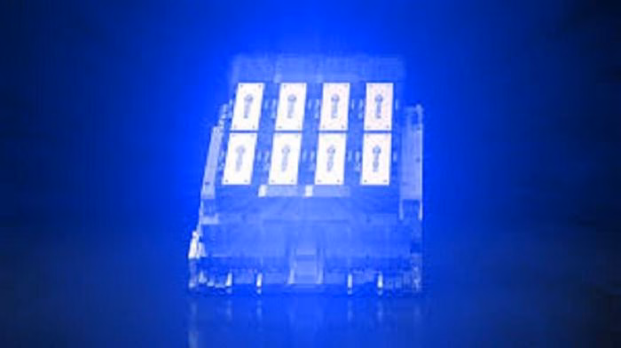 Rủi ro pháp lý và triển vọng xuất khẩu Hình ảnh bài viết