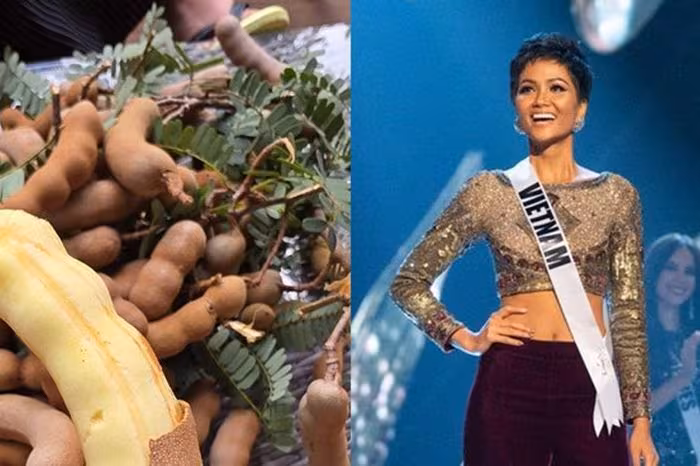 Hoa hậu H’Hen Nê thu hoạch trái me đầu tiên trong khu vườn xanh 2.500 m²