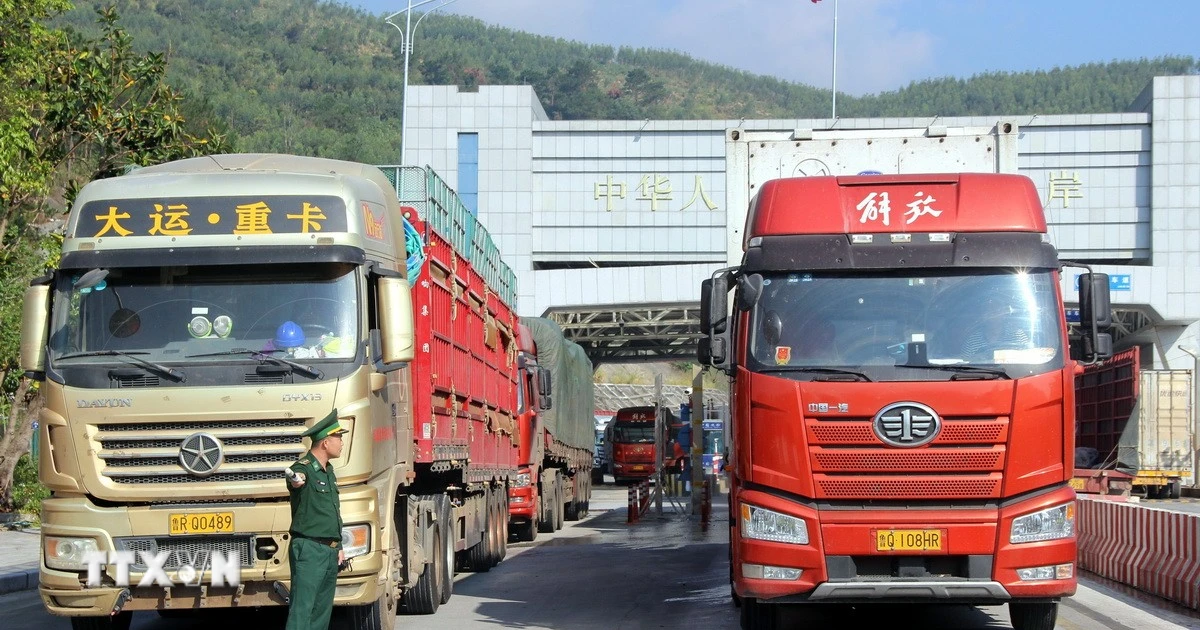 Hợp tác kinh tế Trung‑Việt 2025: Mô hình khu vực mới cho chuỗi cung ứng và công nghiệp xanh