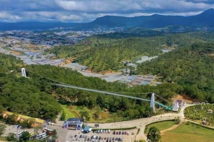 Hotline bảo vệ rừng Lâm Đồng: Số khẩn cấp của đội kiểm lâm và phòng cháy