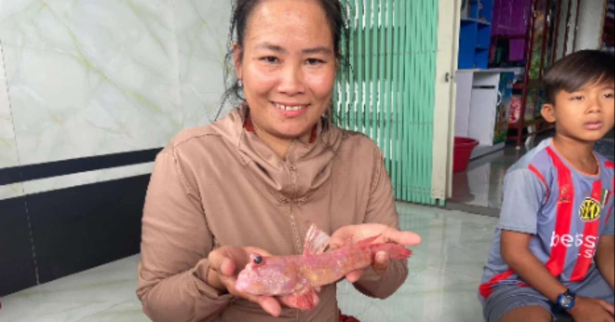 Cá thòi lòi màu hồng lạ mắt bị bắt ở Đất Mũi, Cà Mau