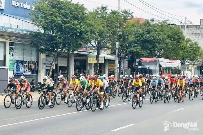 Phạm Lê Xuân Lộc chinh phục chặng 2 Giải đua xe đạp toàn quốc 2026 tại Phước Long