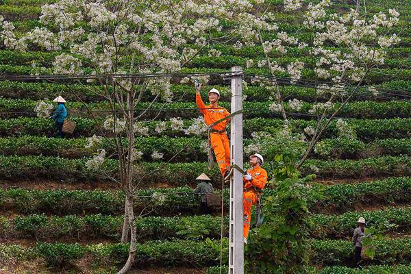 Techshow EVNNPC 2026: Sáng kiến, chuyển đổi số và lời chào năm mới