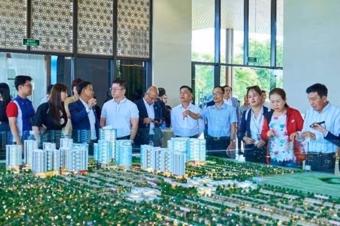 Chuẩn Hóa Nghề Môi Giới: Phân Tích Bộ Tiêu Chuẩn Hành Nghề BĐS Việt Nam