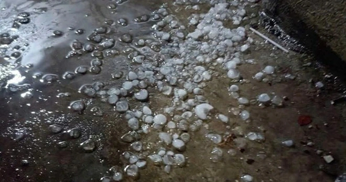 Phân tích Chuyên sâu: Xung Đột Thời Tiết Gây Dông Lốc, Mưa Đá Miền Bắc