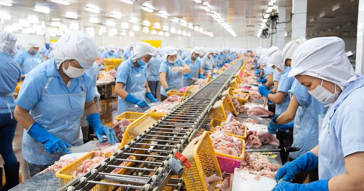 Phó TGĐ Nam Việt Đặt Cược 23 Tỷ Mua ANV Giữa Đà Giảm Sốc 17%