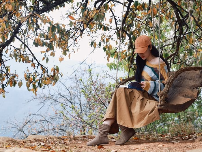 Quả sơn tra (t&aacute;o m&egrave;o) được người d&acirc;n thu hoạch v&agrave;o m&ugrave;a thu.