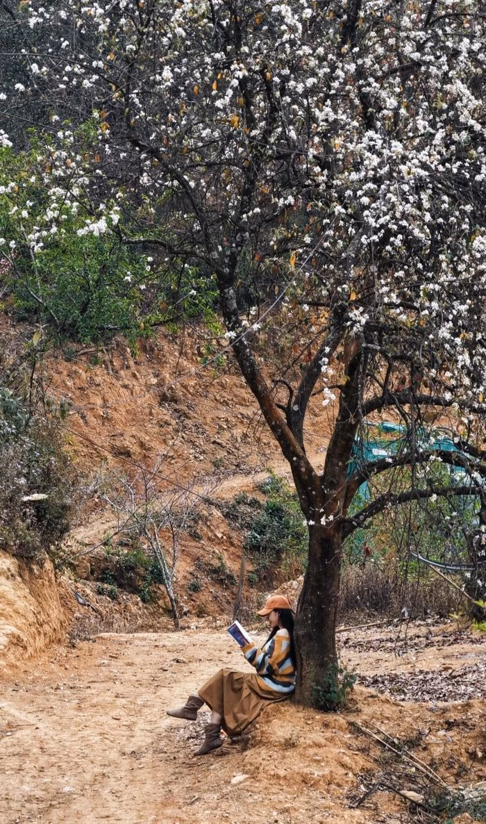 Trekking T&agrave; Ch&igrave; Nh&ugrave; kết hợp ngắm hoa sơn tra.