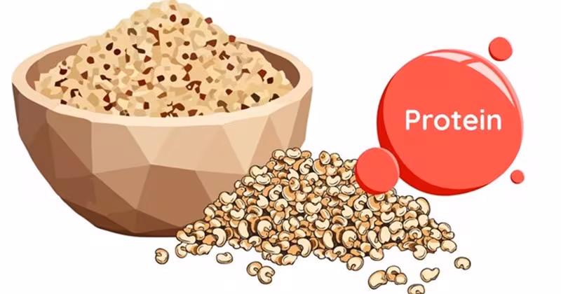 6 Trách nhiệm bắt buộc của người bán hàng đa cấp theo Nghị định 137/2026/NĐ-CP