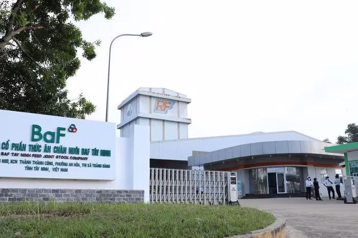BaF Việt Nam chốt kế hoạch 2026: Lợi nhuận kỳ vọng tăng gấp 6 lần