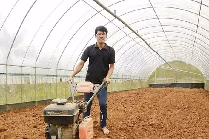 Bỏ phố về rừng: Hành trình xây dựng nông trại hữu cơ đầy cảm hứng