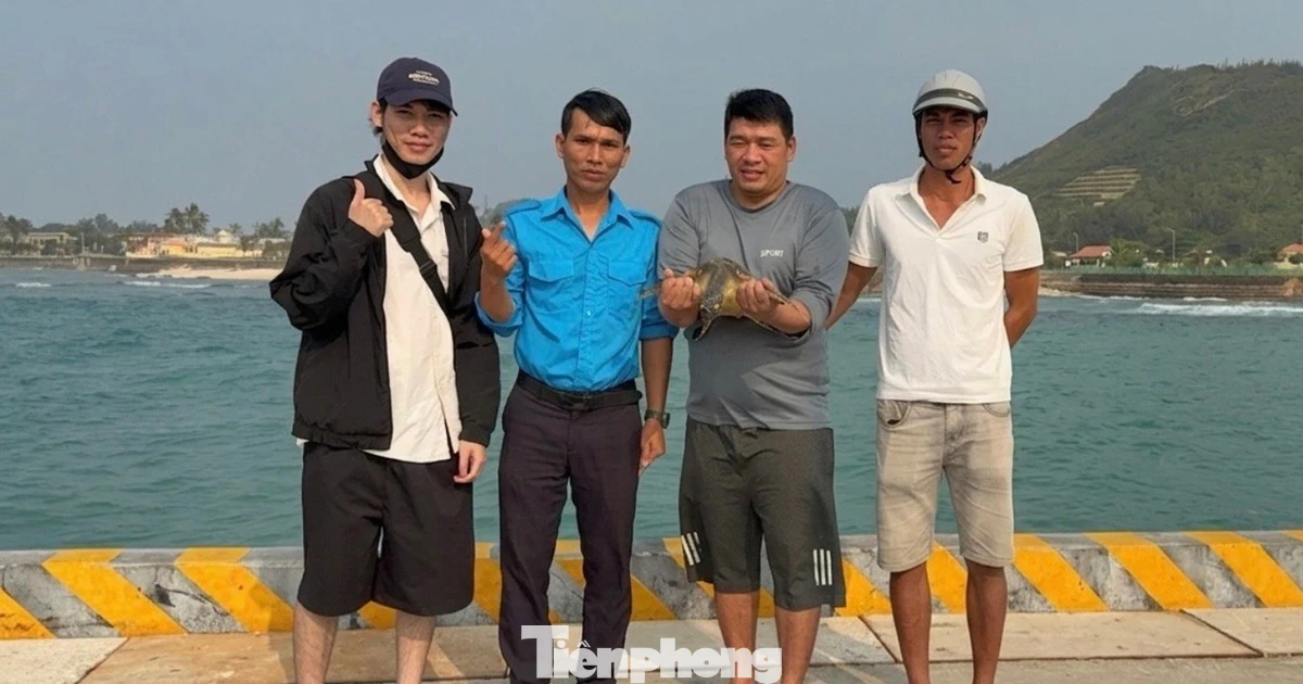 Giải cứu đồi mồi quý hiếm mắc ‘lưới ma’ tại Lý Sơn: Cảnh báo đỏ bảo tồn