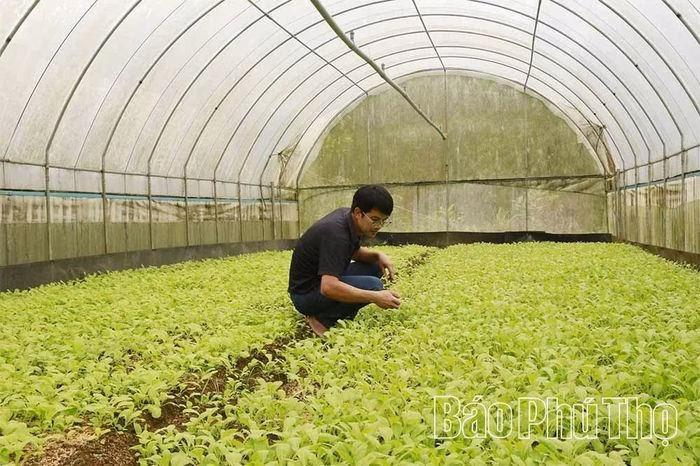 Kh&ocirc;ng gian xanh m&aacute;t của n&ocirc;ng trại sau 3 năm cải tạo