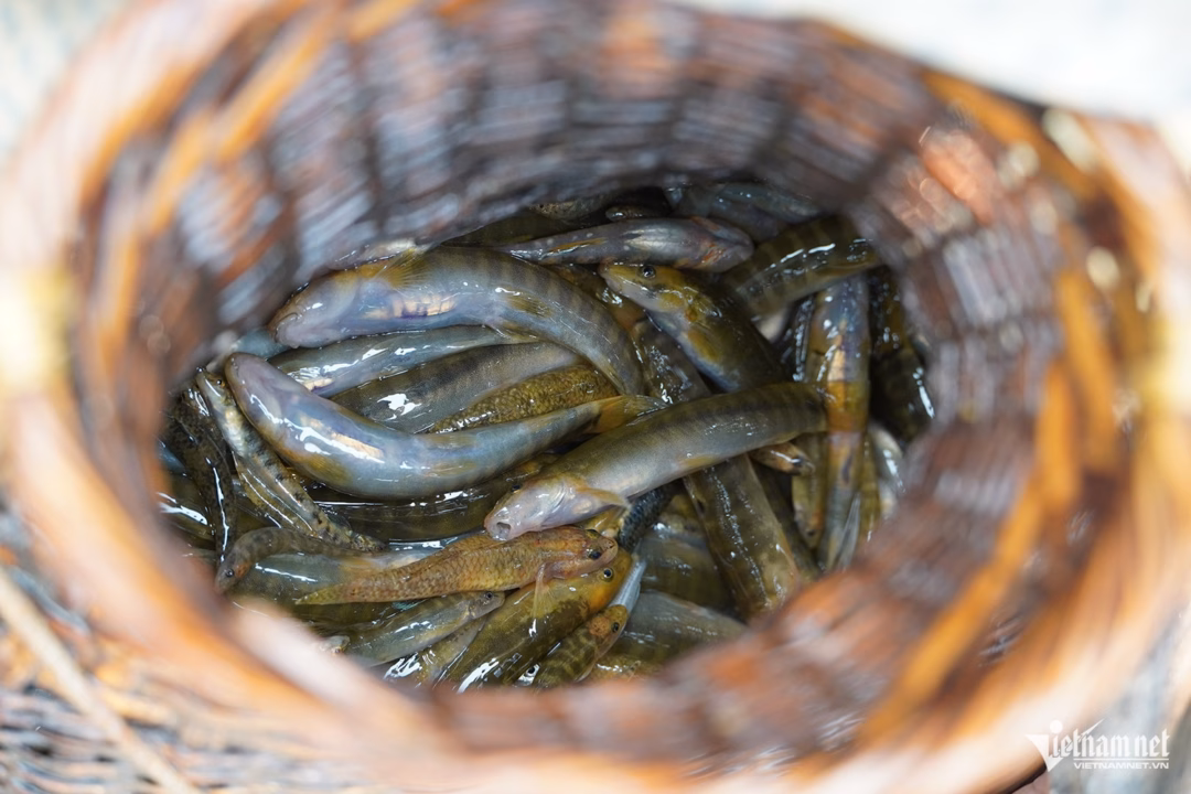 Nhiệt độ ngoài trời tại các vùng miền Trung đang tăng cao