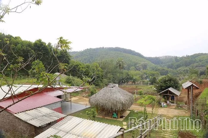 N&ocirc;ng trại kết hợp sinh th&aacute;i tại v&ugrave;ng đồi V&otilde; Miếu