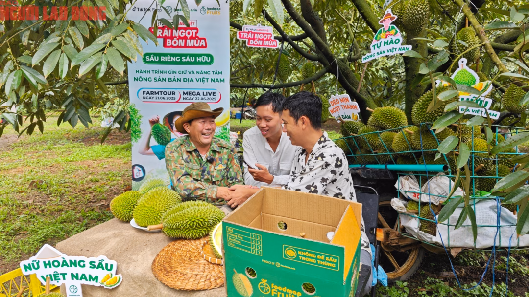 Sầu riêng Sáu Hữu Sầu riêng Sáu Hữu được bán tại vườn